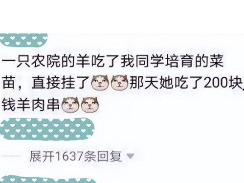 学生搞笑作业带你吃瓜,学生带你笑中带泪的“吃瓜”之旅