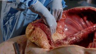 解剖吃瓜事件起因,揭秘背后惊人真相