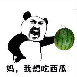 吃瓜完了,揭秘娱乐圈幕后真相