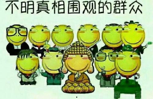 吃瓜书虫,揭秘娱乐圈背后的秘密与真相