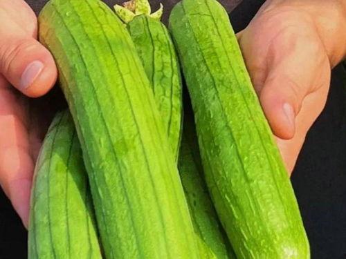 入伏天吃瓜好吗,清凉解暑，养生必备