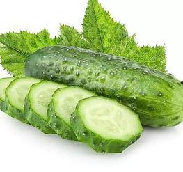 河南小哥吃瓜哒,揭秘网络红人的日常生活