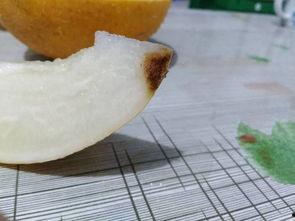 满月过后可以吃哈密瓜吗,哈密瓜美食之旅开启