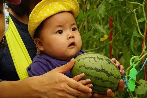 鬼脸吃瓜群,揭秘网络社交圈的神秘面纱